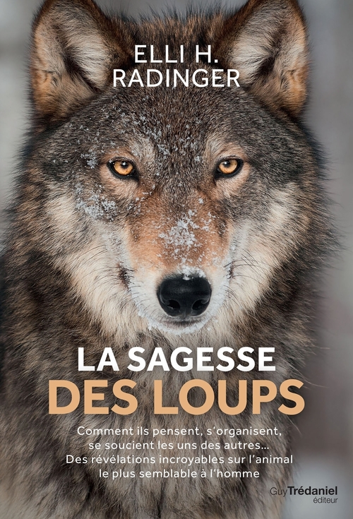 Couverture ebook de La sagesse des loups - Comment ils pensent, s'organisent, se soucient des autres..., de Elli h Radinger