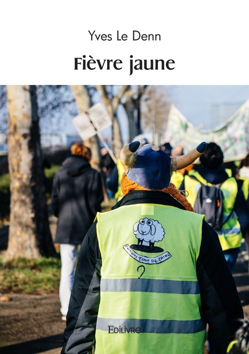 ebook cover of Fièvre jaune, by Yves Le denn