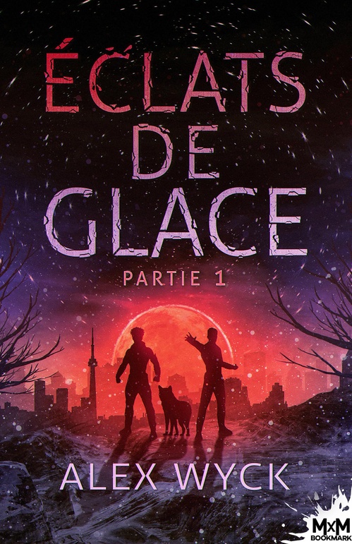 ebook cover of Éclats de glace - Partie 1, by Alex Wyck