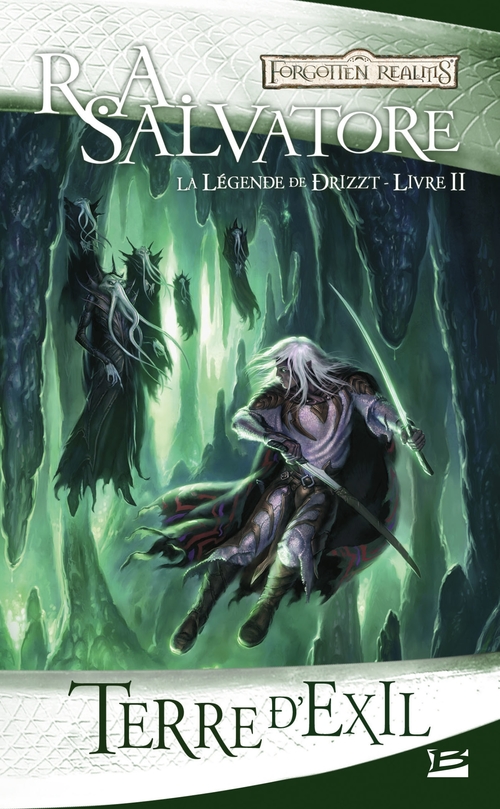 Couverture ebook de La Légende de Drizzt, T2 : Terre d'exil, de R. A. Salvatore
