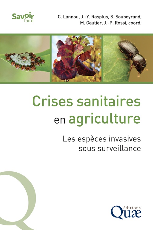 ebook cover of Crises sanitaires en agriculture, by Samuel Soubeyrand, Mathieu Gautier, Christian Lannou, Jean-Yves Rasplus, Jean-Pierre Rossi