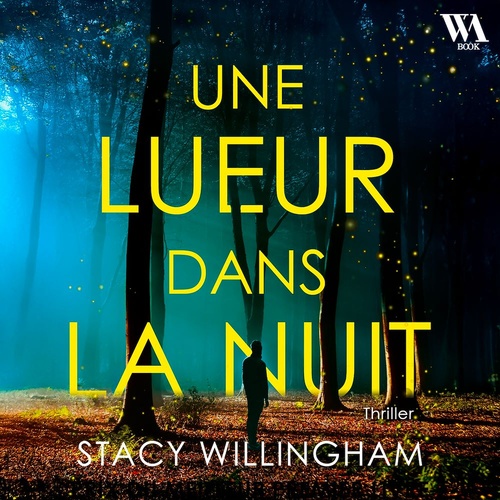 audiobook cover of Une lueur dans la nuit, by Stacy Willingham
