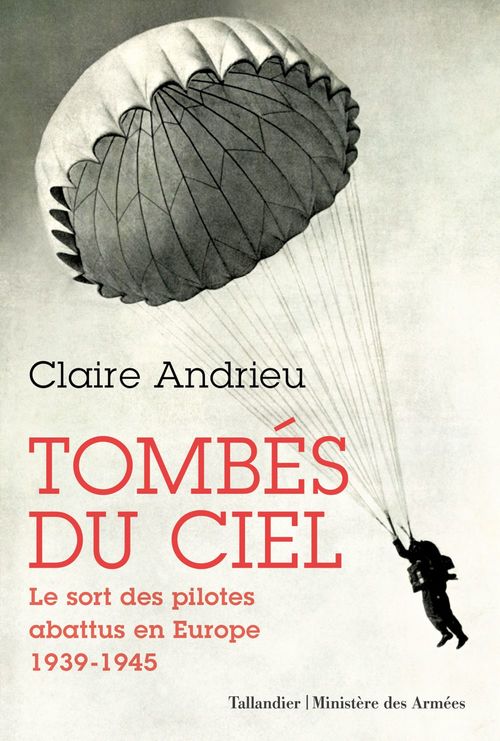 ebook cover of Tombés du ciel, by Claire Andrieu