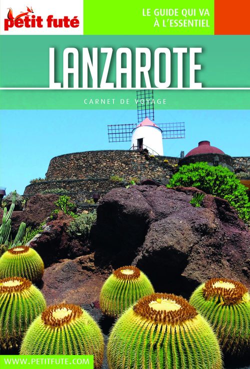 ebook cover of LANZAROTE 2018/2019 Carnet Petit Futé, by Collectif petit futé