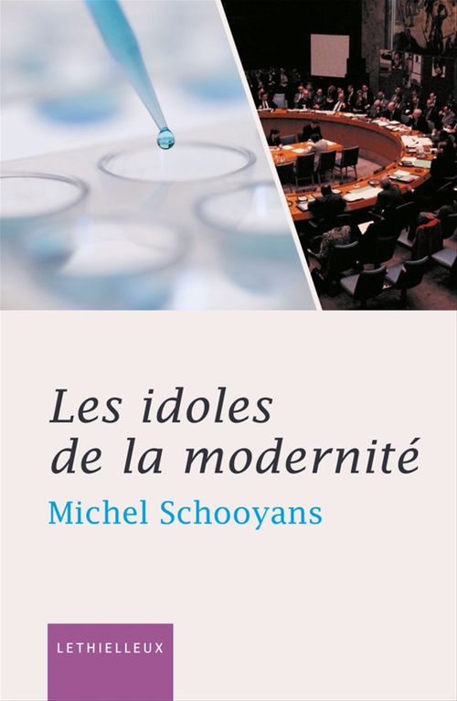 ebook cover of Les idoles de la modernité, by Michel Schooyans