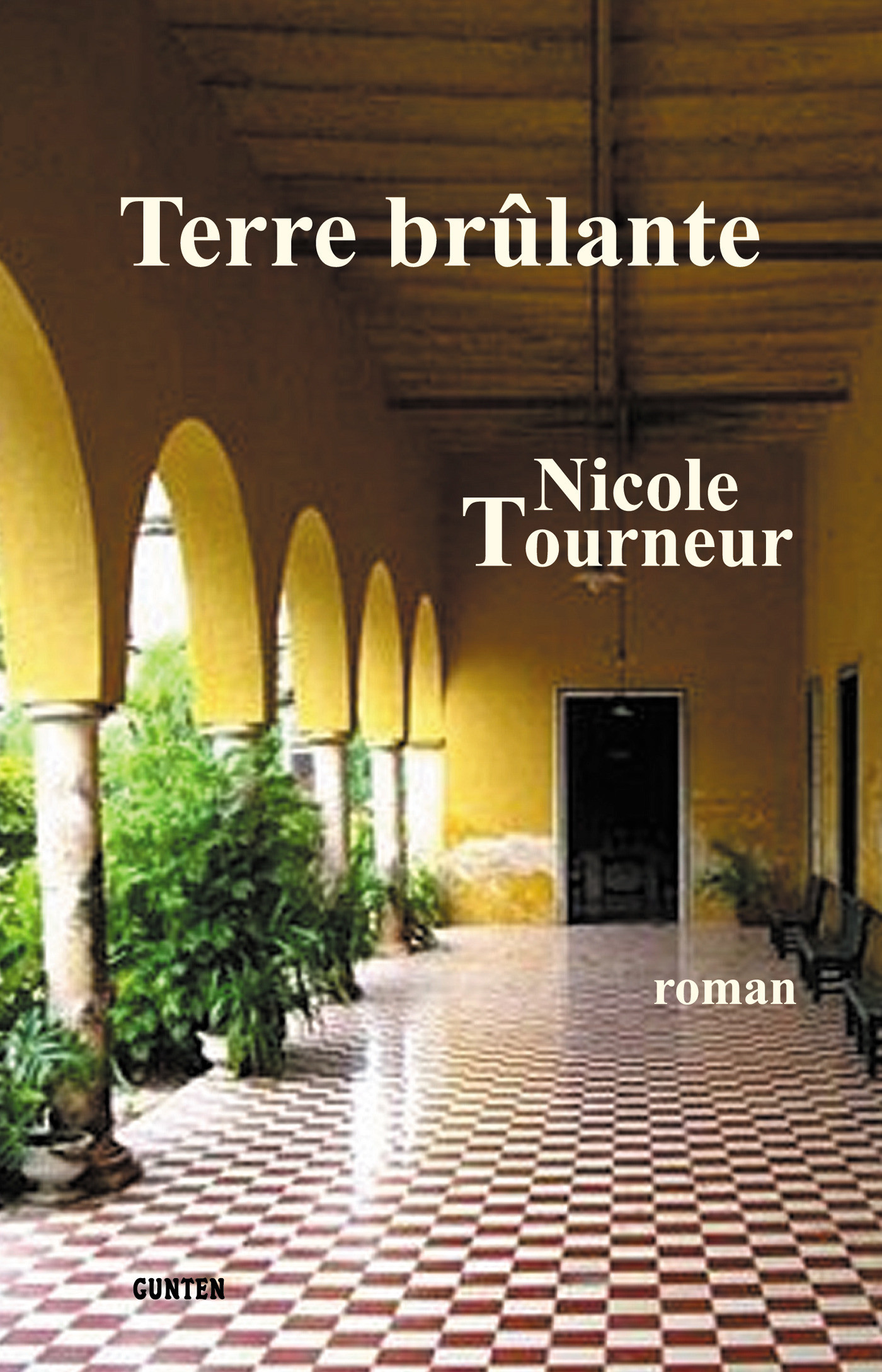 ebook cover of Terre brûlante, by Nicole Tourneur
