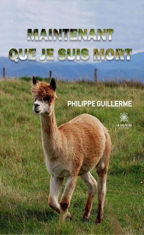 Couverture ebook de Maintenant que je suis mort, de Philippe Guillerme
