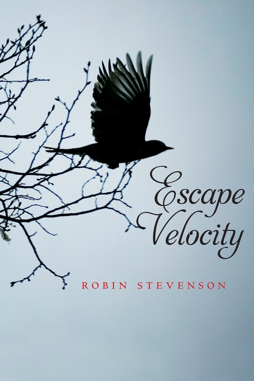 ebook cover of Escape Velocity, by Robin Stevenson