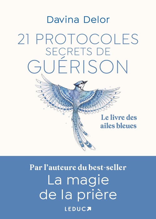 ebook cover of 21 Protocoles secrets de guérison - Le livre des ailes bleues, by Davina Delor