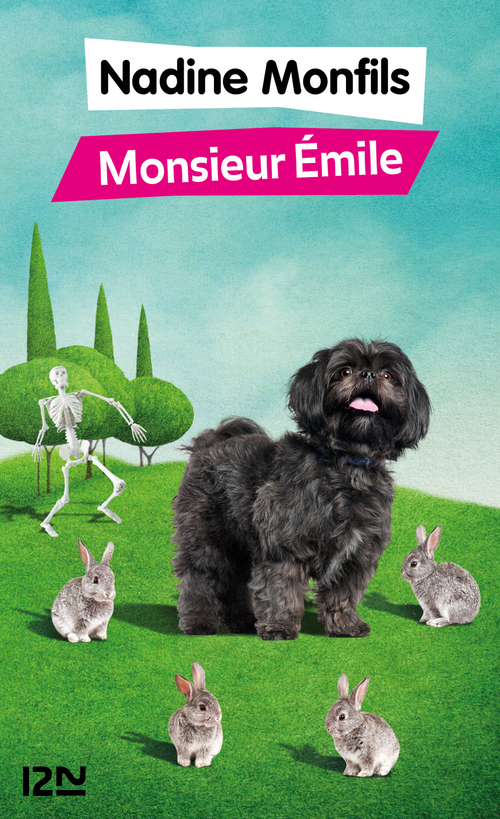 Couverture ebook de Monsieur Emile, de Nadine Monfils