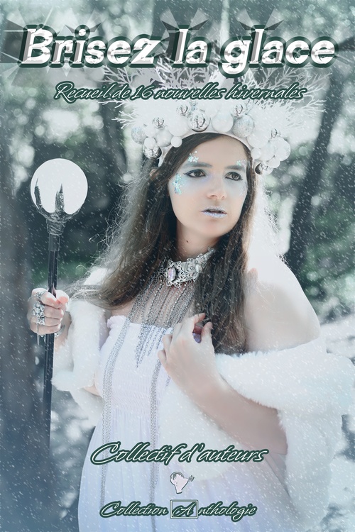 ebook cover of Brisez la glace, by Collectif