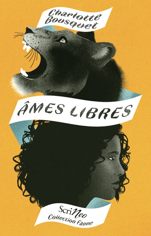Couverture ebook de Ames libres, de Charlotte Bousquet