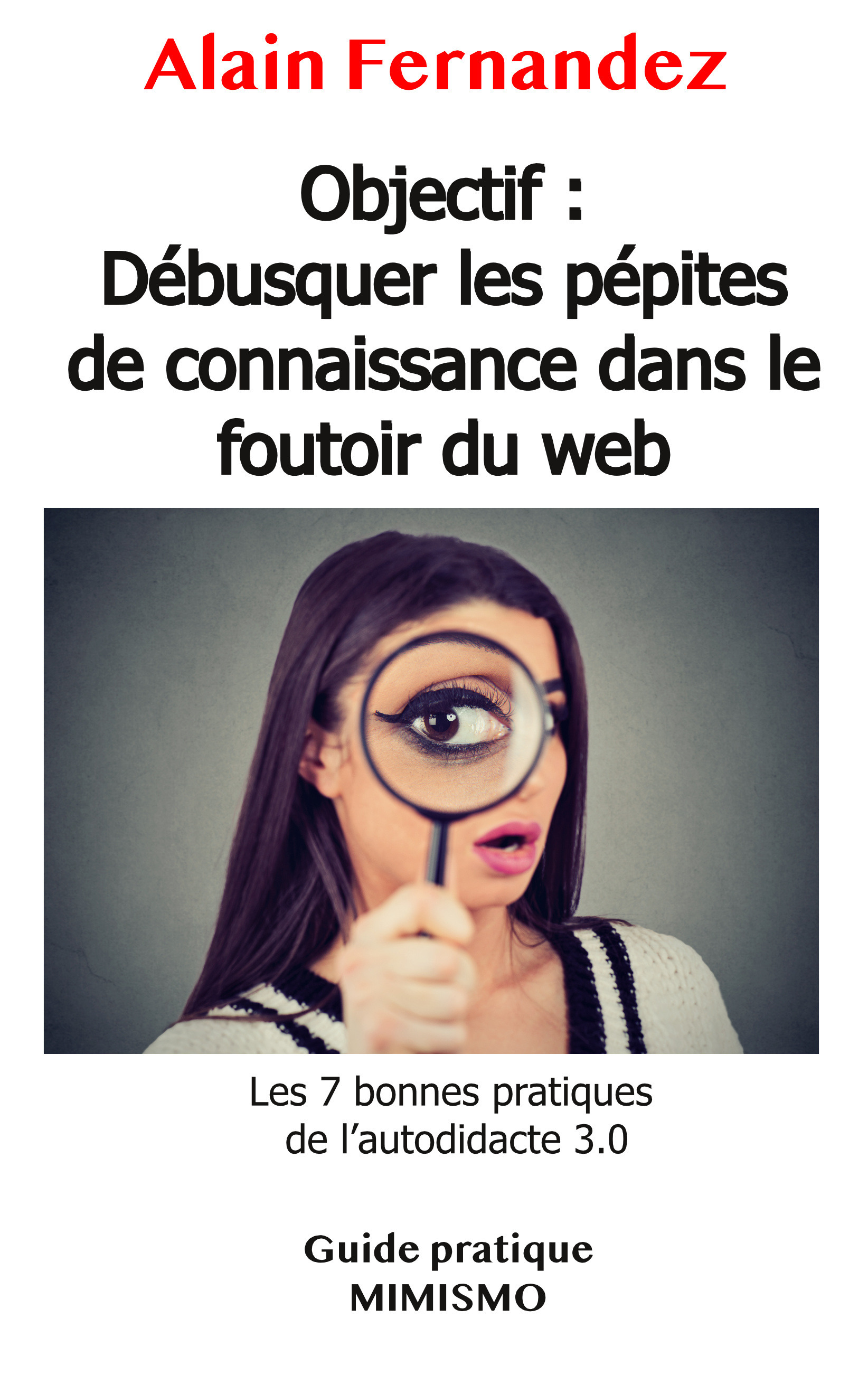 ebook cover of Objectif : Débusquer les pépites de connaissance dans le foutoir du web, by Alain Fernandez