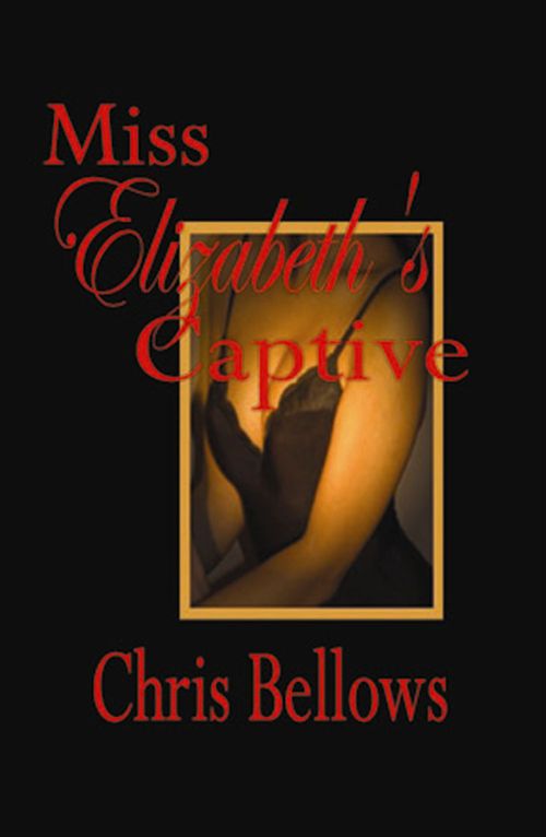 Couverture ebook de Miss Elizabeth's Captive, de Chris Bellows
