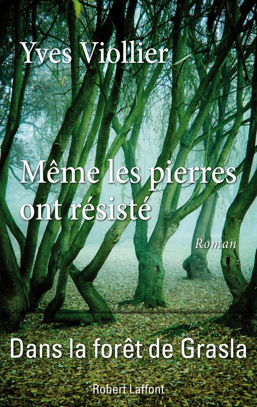 ebook cover of Même les pierres ont résisté, by Yves Viollier