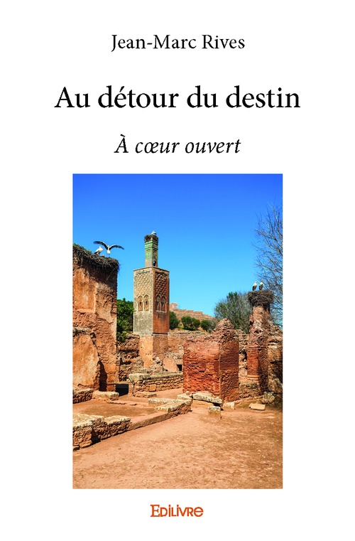 ebook cover of Au détour du destin, by Jean-Marc Rives