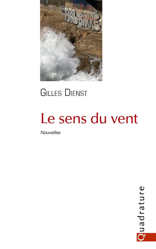 Couverture ebook de Le sens du vent, de Gilles Dienst