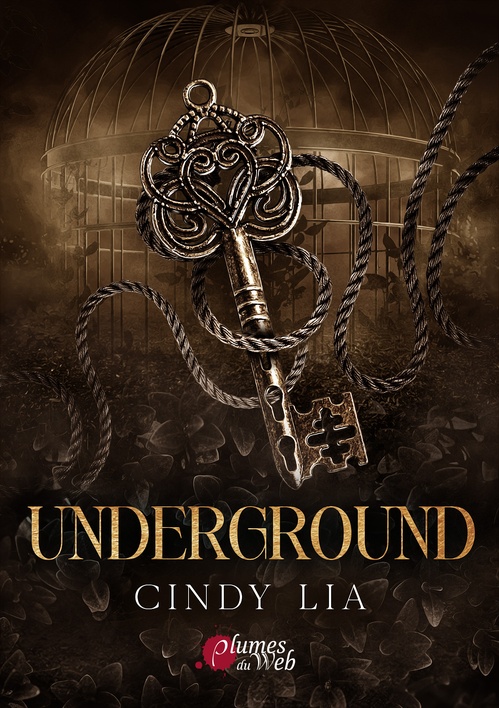 ebook cover of Underground, by Cindy Lia