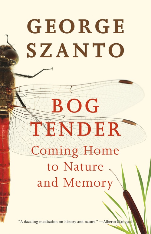 ebook cover of Bog Tender, by George Szanto