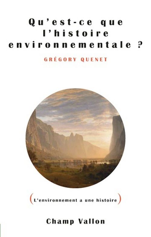 ebook cover of Qu'est ce que l'histoire environnementale ?, by Grégory Quenet