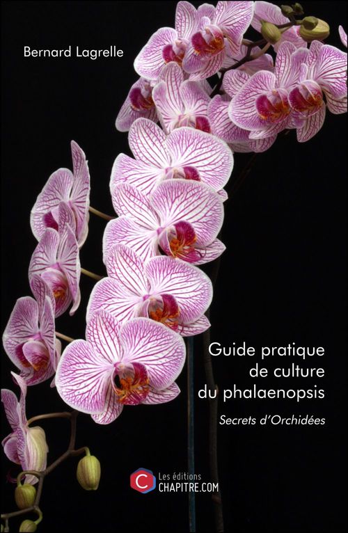 Couverture ebook de Guide pratique de culture du phalaenopsis, de Bernard Lagrelle