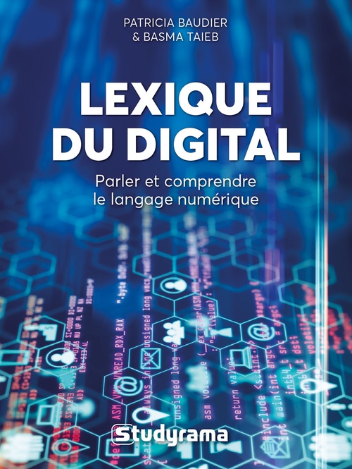 Couverture ebook de Lexique du digital, de Patricia Baudier, Basma Taieb