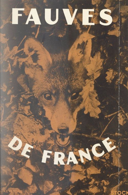 Couverture ebook de Fauves de France, de Jean-Emile Benech