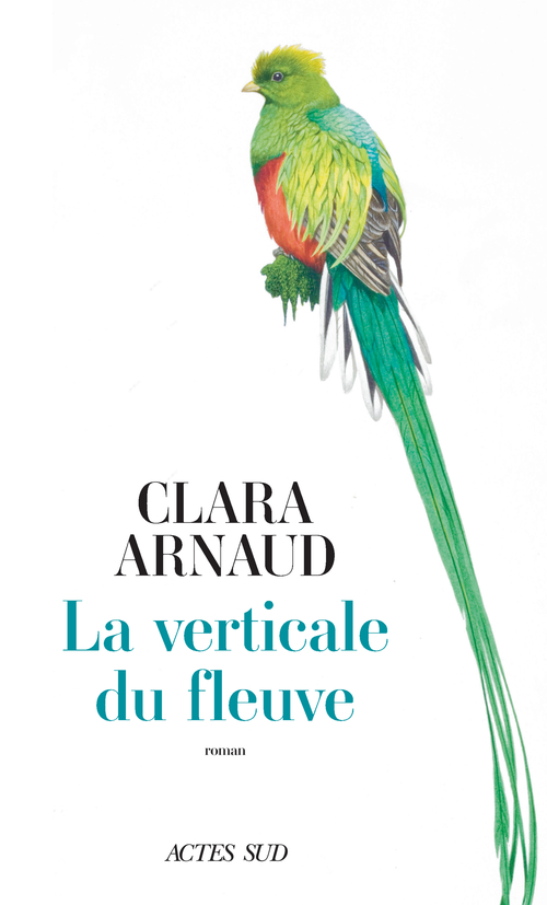 ebook cover of La Verticale du fleuve, by Clara Arnaud