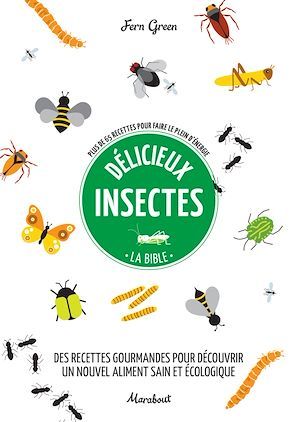 Couverture ebook de Délicieux insectes, de Fern Green