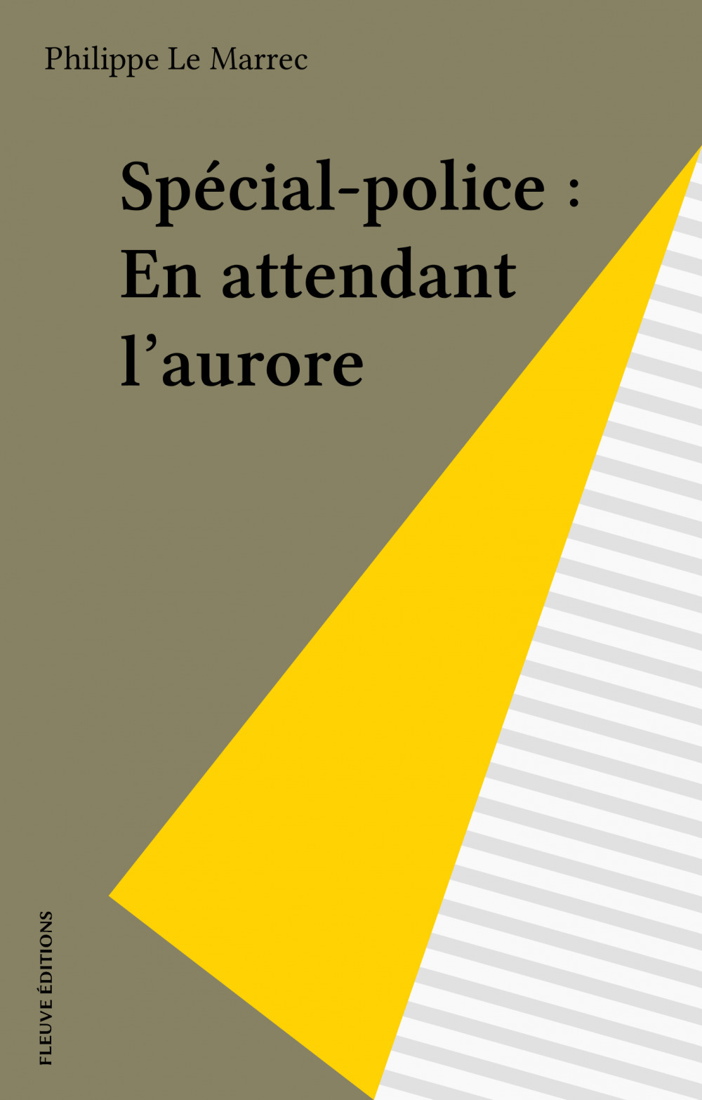 ebook cover of Spécial-police : En attendant l'aurore, by Philippe Le Marrec