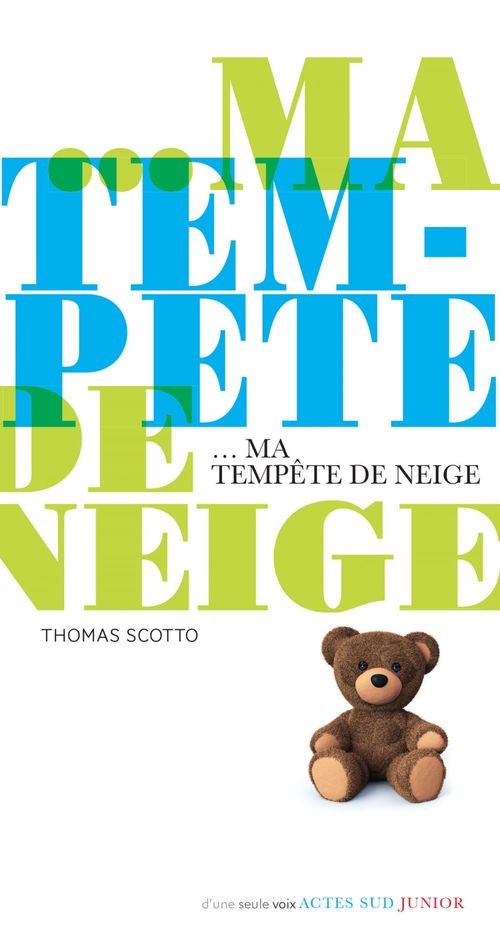 Couverture ebook de Ma tempête de neige, de Thomas Scotto