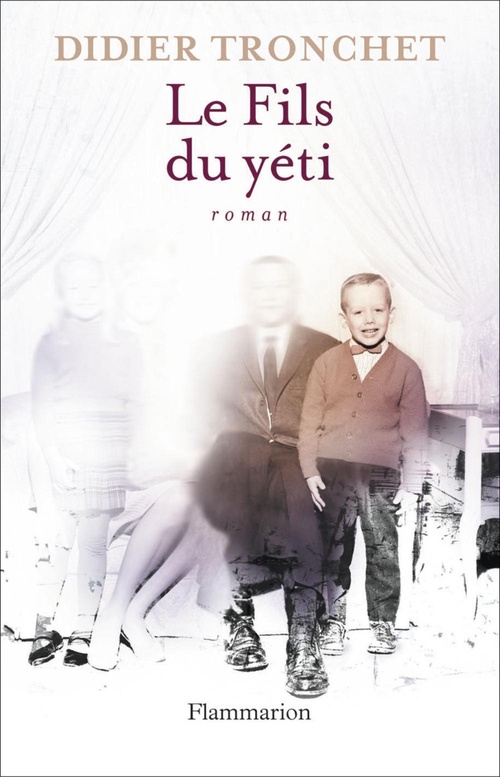 ebook cover of Le Fils du yéti, by Didier Tronchet