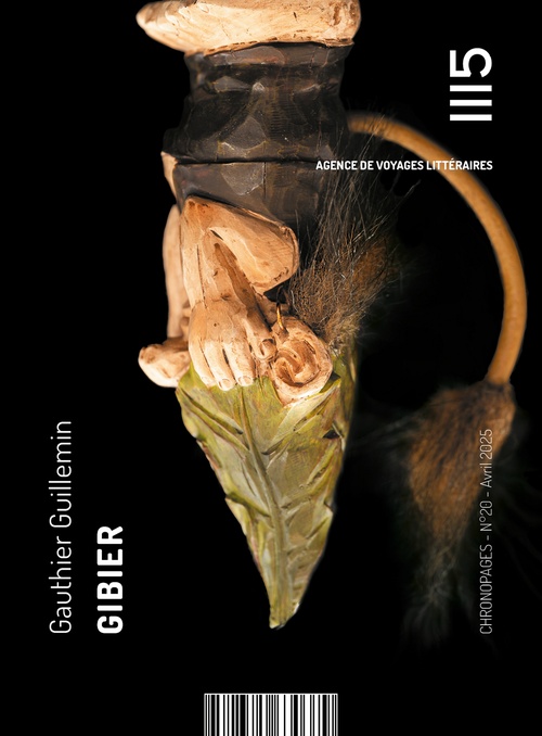ebook cover of Gibier, by Gauthier Guillemin