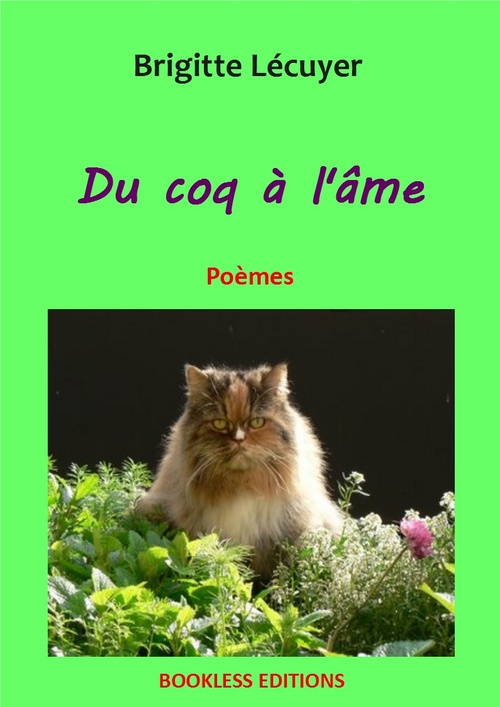 Couverture ebook de Du coq à l'âme, de Bookless-Editions Brigitte Lecuyer