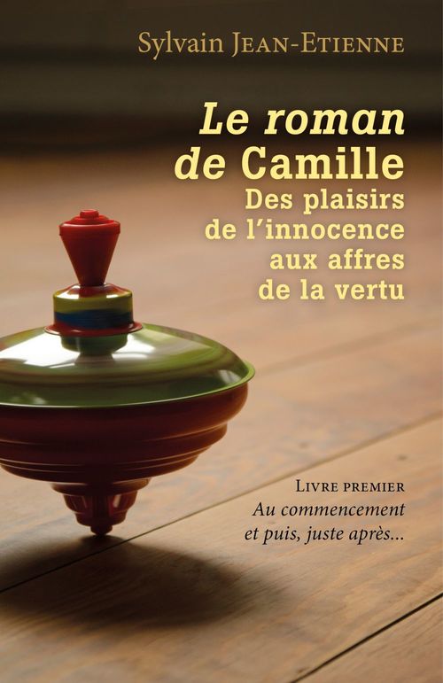 ebook cover of Le roman de Camille  Des plaisirs de l'innocence aux affres de la vertu, by Sylvain Jean-Etienne