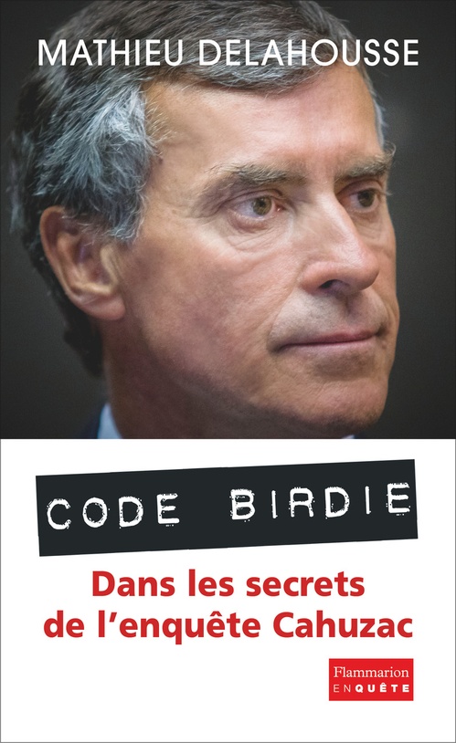 Couverture ebook de "Code Birdie", de Mathieu Delahousse