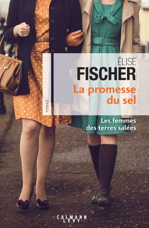 ebook cover of La Promesse du sel (Les Femme des terres salées T.2), by Elise Fischer