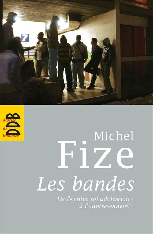 Couverture ebook de Les bandes, de Michel Fize