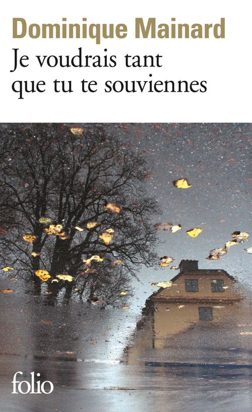 Couverture ebook de Je voudrais tant que tu te souviennes, de Dominique Mainard