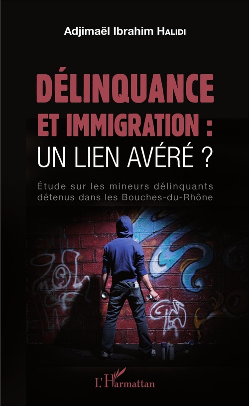ebook cover of Délinquance et immigration : un lien avéré ?, by Adjimael Ibrahim Halidi