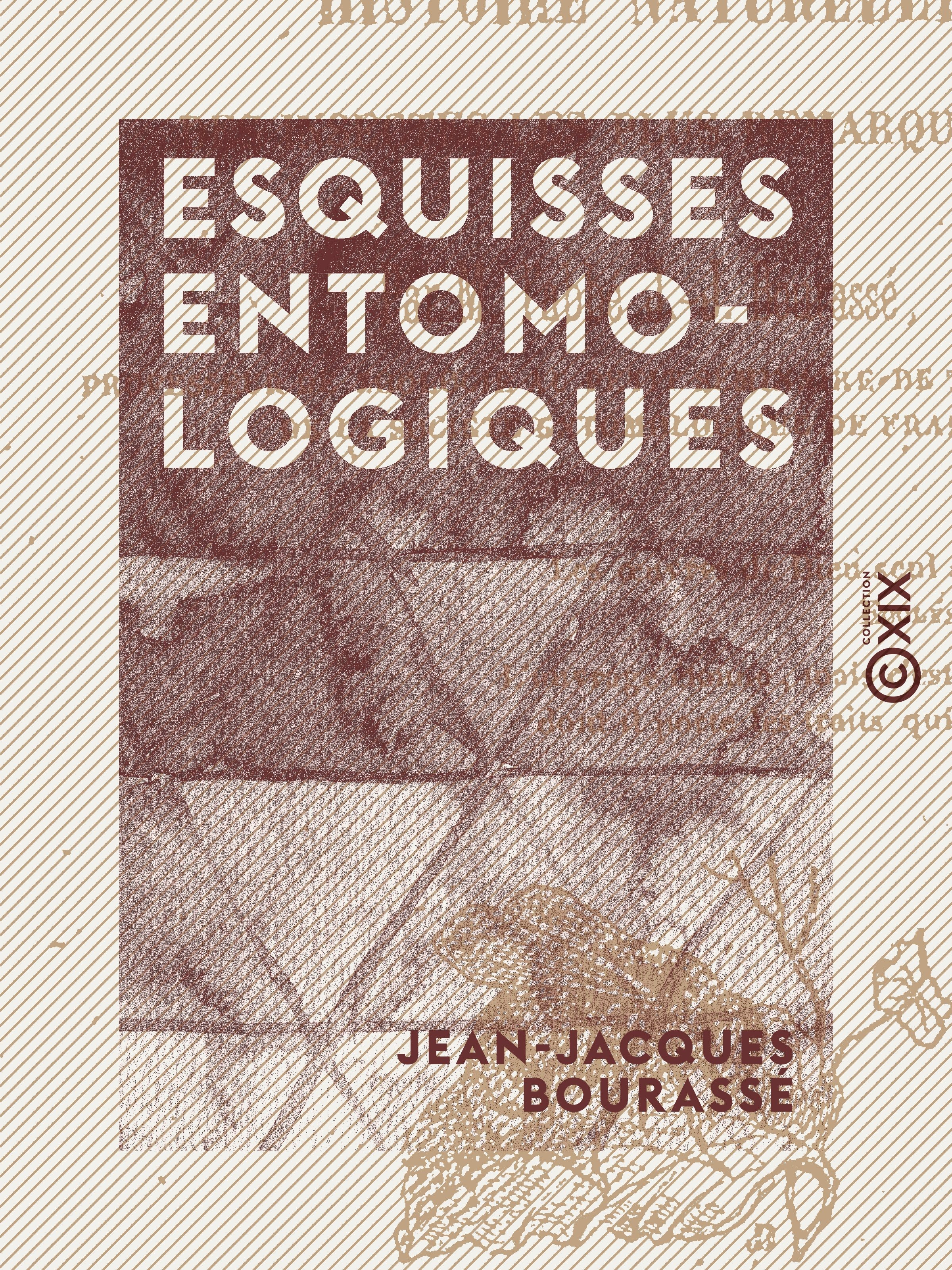 Couverture ebook de Esquisses entomologiques, de Jean-Jacques Bourasse