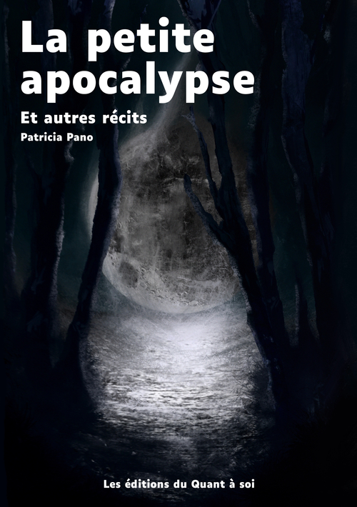 ebook cover of La Petite apocalypse, by Patricia Pano