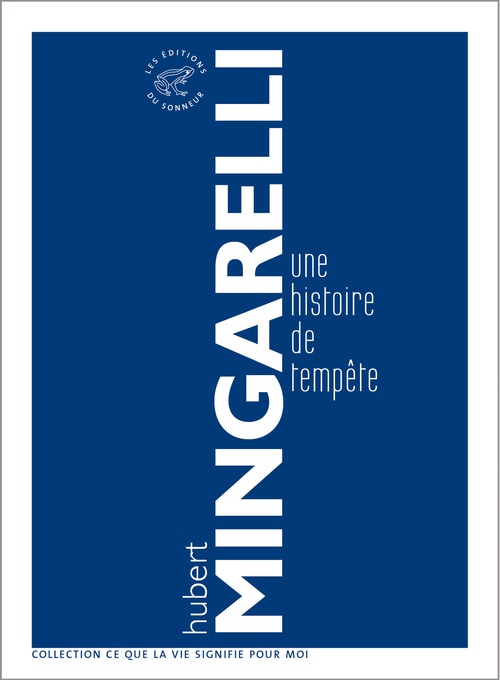 ebook cover of Une histoire de tempête, by Hubert Mingarelli