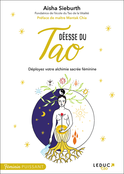 ebook cover of Déesse du Tao, by Aisha Sieburth