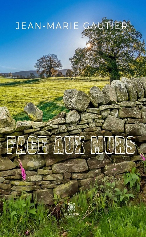 Couverture ebook de Face aux murs, de Jean-Marie Gautier