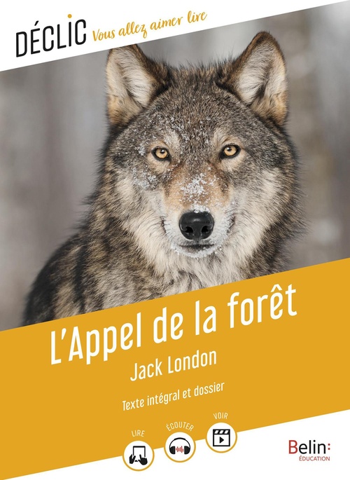 ebook cover of L'Appel de la forêt, by Jack London