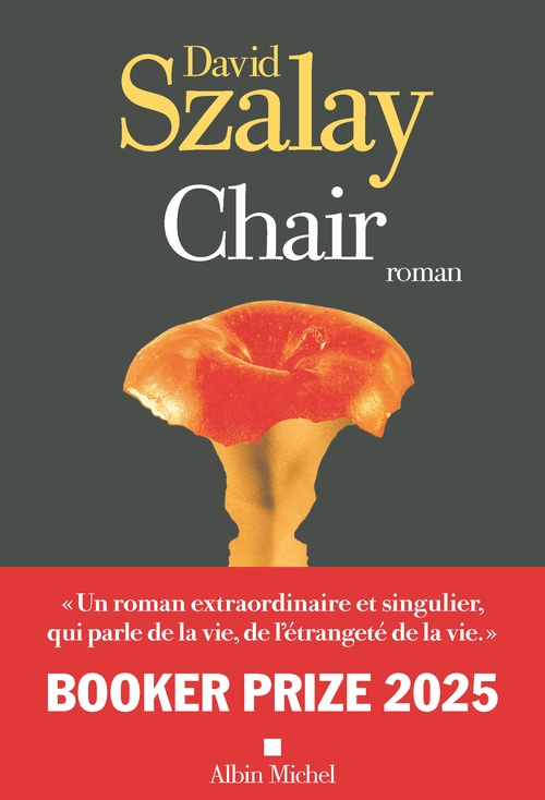 Couverture ebook de Chair, de David Szalay