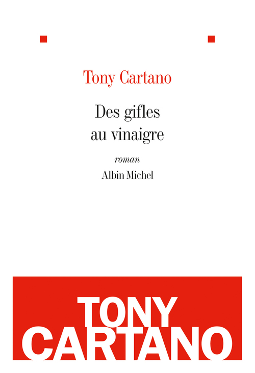 ebook cover of Des gifles au vinaigre, by Tony Cartano