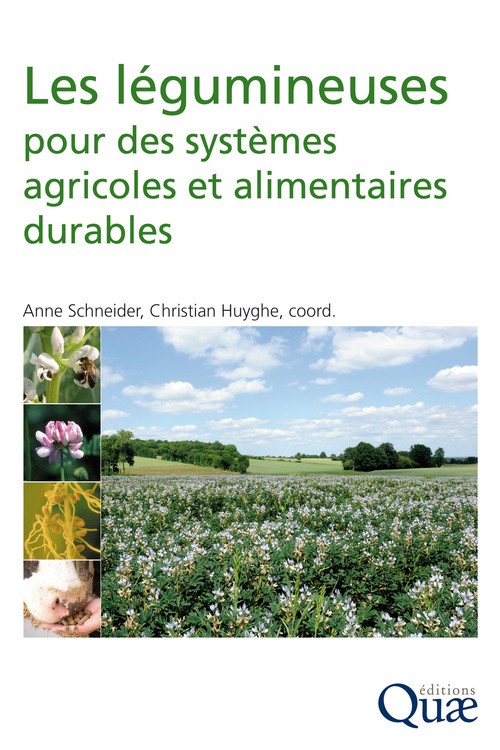 ebook cover of Les légumineuses pour des systèmes agricoles et alimentaires durables, by Christian Huyghe, Anne Schneider