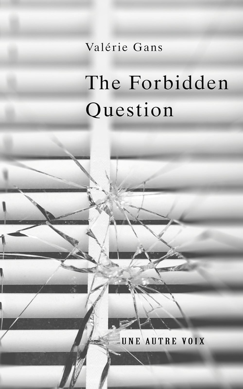 ebook cover of The Forbidden Question, by Valerie Gans